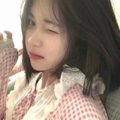 躲在阁楼的安妮·法兰克